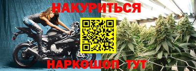 ПСИЛОЦИБИНОВЫЕ ГРИБЫ Нальчик